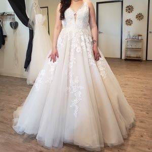 2019 Pronovius Elsira NEW